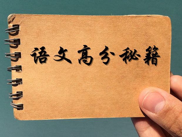 初中語(yǔ)文成績(jī)不好原因分析及高分秘籍