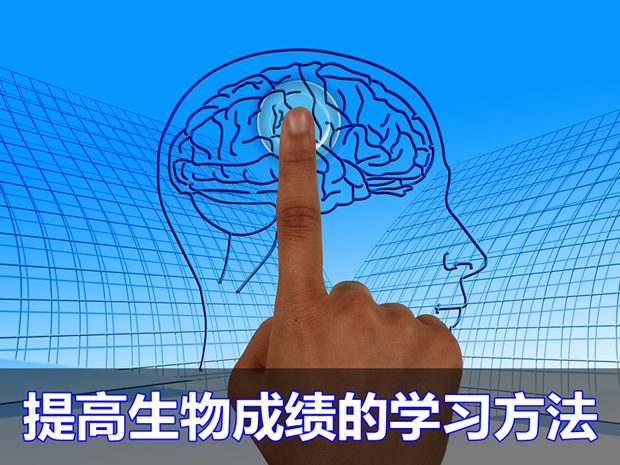 快速提高生物成績的基本學(xué)習(xí)方法