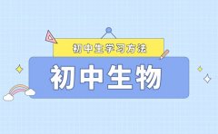 初中生物高效學習法分享_學好初中生物的方法與技巧