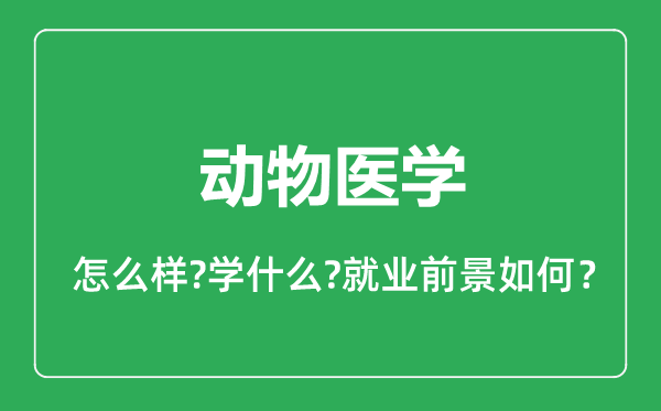 動(dòng)物醫(yī)學(xué)專(zhuān)業(yè)怎么樣,動(dòng)物醫(yī)學(xué)專(zhuān)業(yè)就業(yè)方向及前景分析