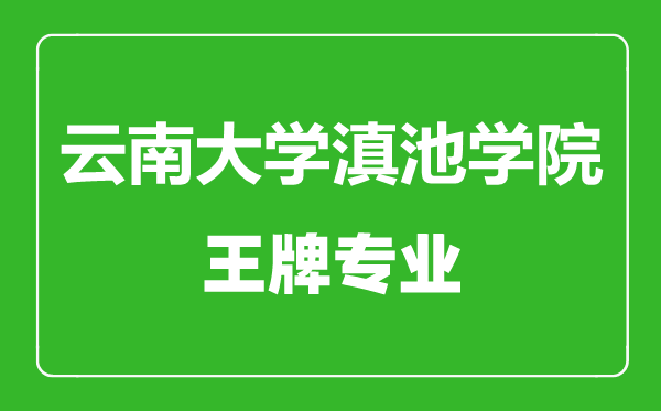 云南大學滇池學院王牌專業(yè)有哪些,云南大學滇池學院最好的專業(yè)是什么