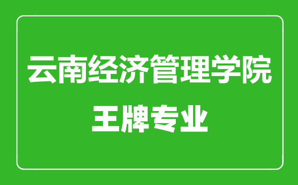云南經濟管理學院王牌專業(yè)有哪些,云南經濟管理學院最好的專業(yè)是什么