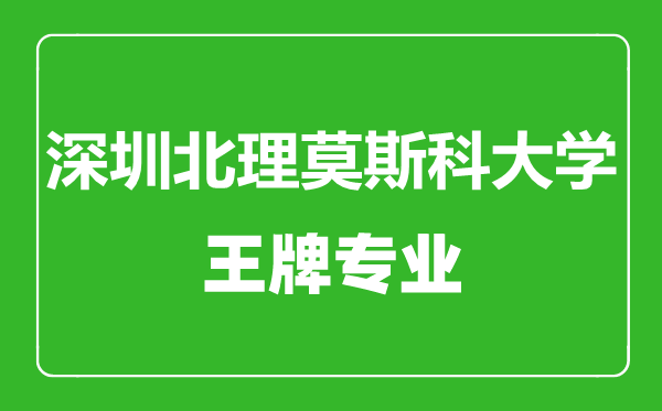 深圳北理莫斯科大學王牌專業(yè)有哪些,深圳北理莫斯科大學最好的專業(yè)是什么