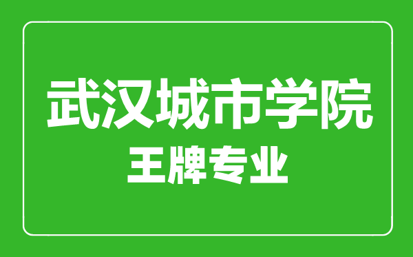 武漢城市學(xué)院王牌專業(yè)有哪些,武漢城市學(xué)院最好的專業(yè)是什么