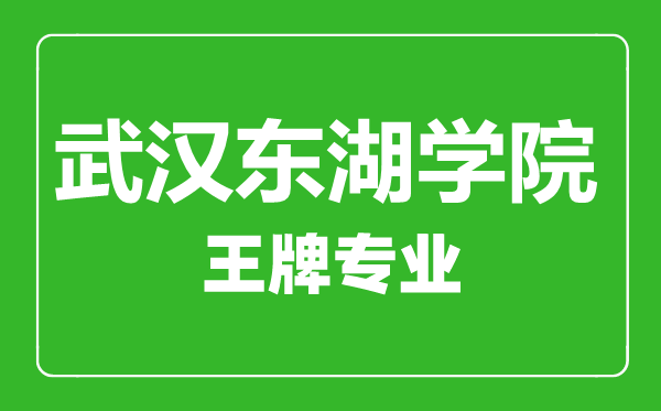 武漢東湖學(xué)院王牌專業(yè)有哪些,武漢東湖學(xué)院最好的專業(yè)是什么