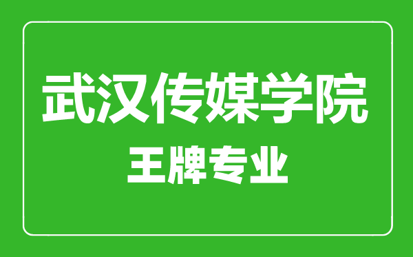 武漢傳媒學(xué)院王牌專業(yè)有哪些,武漢傳媒學(xué)院最好的專業(yè)是什么