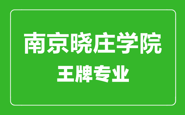 南京曉莊學院王牌專業(yè)有哪些,南京曉莊學院最好的專業(yè)是什么