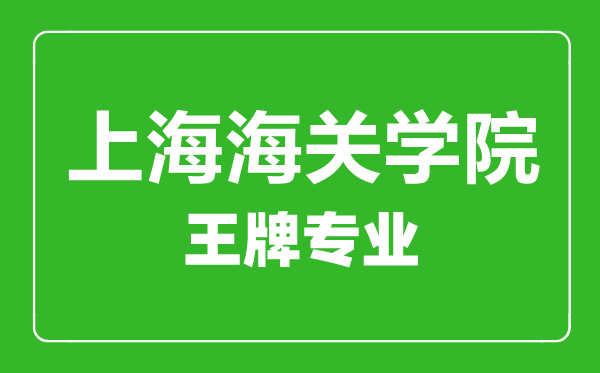 上海海關學院王牌專業(yè)有哪些,上海海關學院最好的專業(yè)是什么
