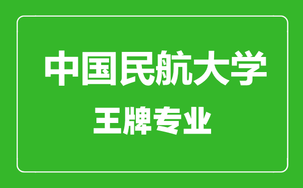 中國(guó)民航大學(xué)王牌專業(yè)有哪些,中國(guó)民航大學(xué)最好的專業(yè)是什么