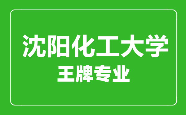 沈陽(yáng)化工大學(xué)王牌專業(yè)有哪些,某某最好的專業(yè)是什么