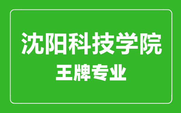 沈陽科技學(xué)院王牌專業(yè)有哪些,沈陽科技學(xué)院最好的專業(yè)是什么