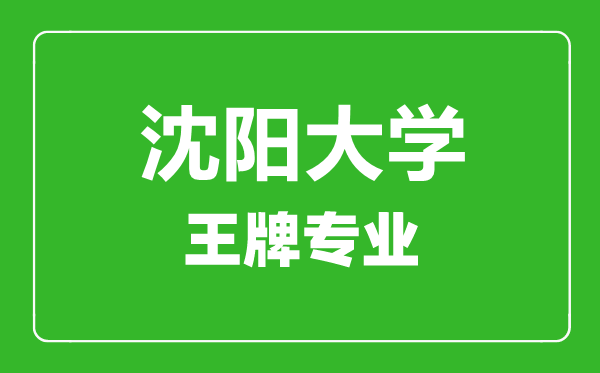 沈陽大學(xué)王牌專業(yè)有哪些,沈陽大學(xué)最好的專業(yè)是什么