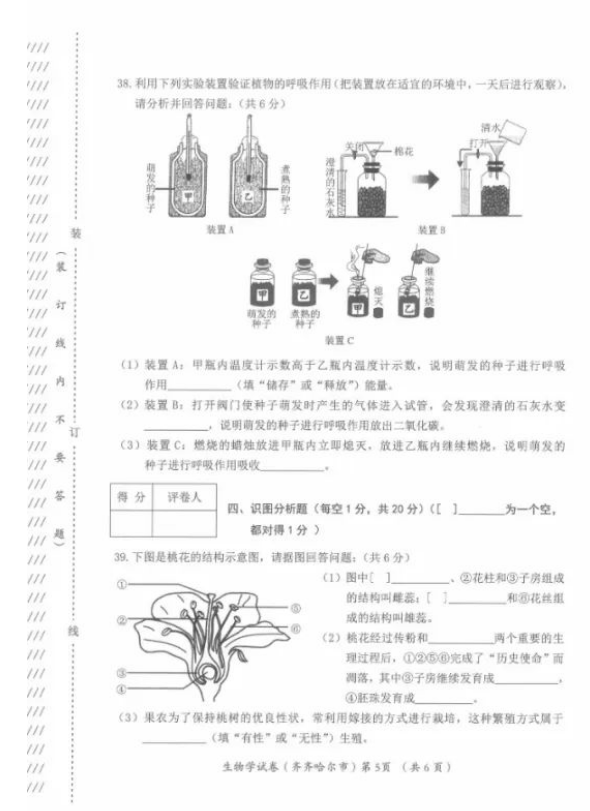 2023年齊齊哈爾市中考生物試卷真題及答案