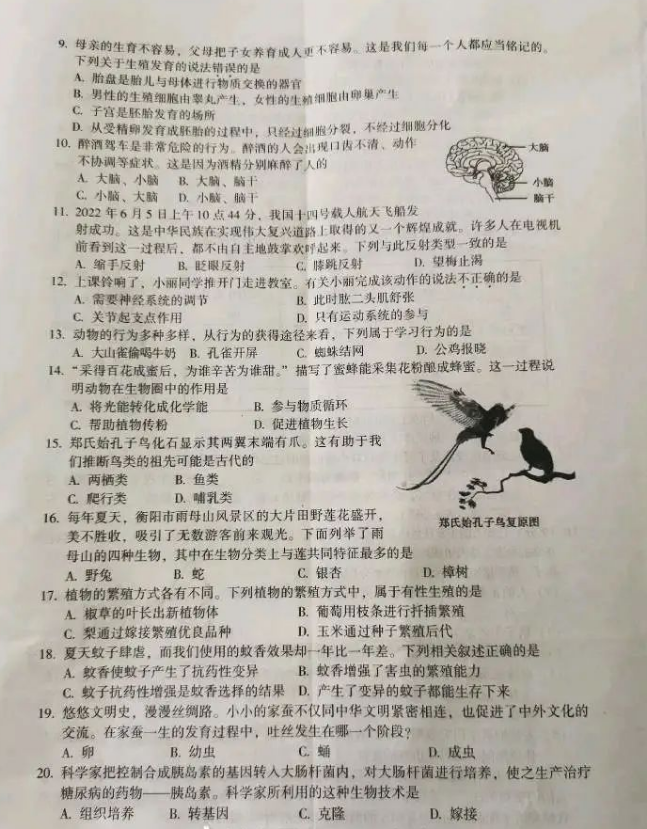 2023年衡陽(yáng)市中考生物試卷真題及答案