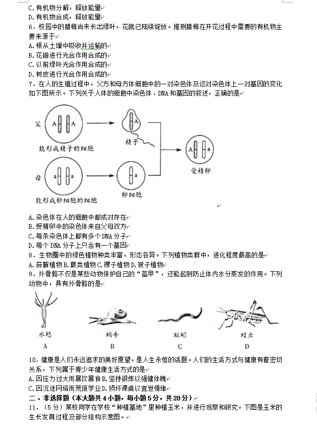 2023年銅陵中考生物試卷真題及答案