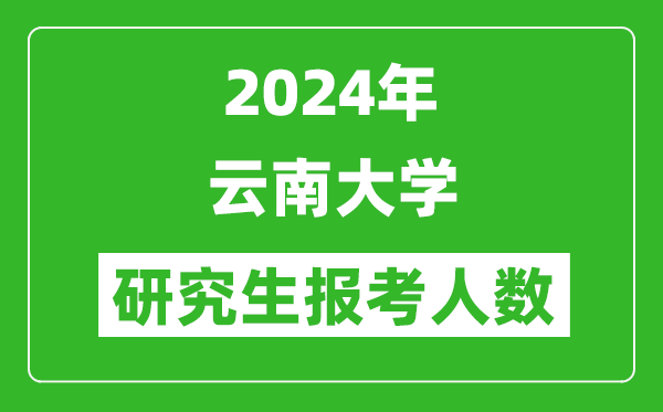2024年云南大學研究生報考人數(shù)