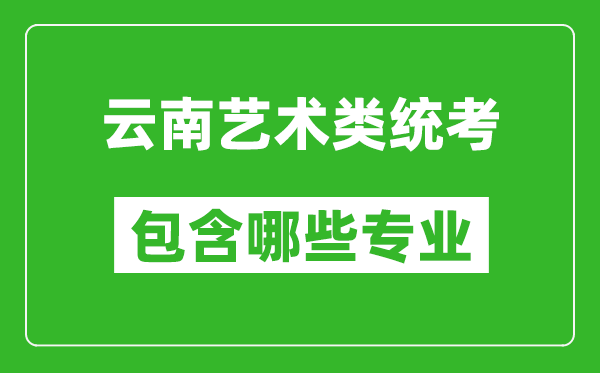 云南藝術(shù)類統(tǒng)考包含哪些專業(yè)？