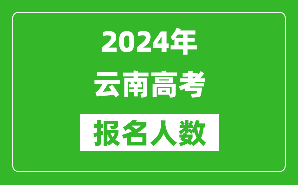 2024年云南高考報(bào)名人數(shù)是多少,比2023年多多少人？