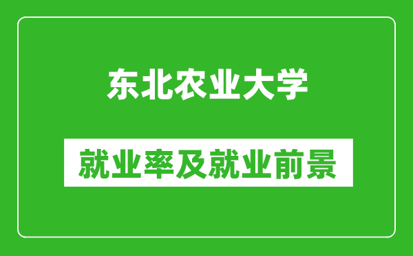 東北農(nóng)業(yè)大學(xué)就業(yè)率怎么樣,就業(yè)前景好嗎？