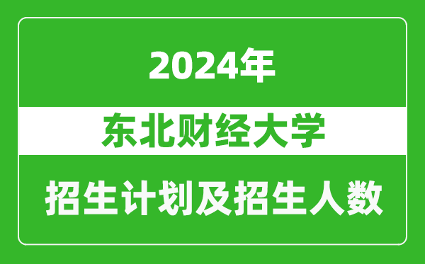 東北財(cái)經(jīng)大學(xué)2024年在天津的招生計(jì)劃及招生人數(shù)