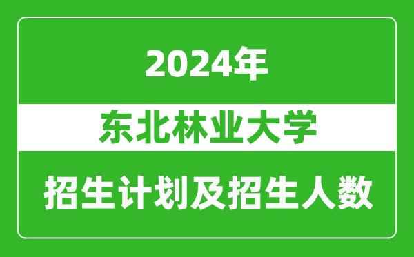 東北林業(yè)大學2024年在海南的招生計劃及招生人數