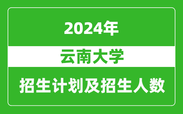 云南大學(xué)2024年在西藏的招生計劃及招生人數(shù)