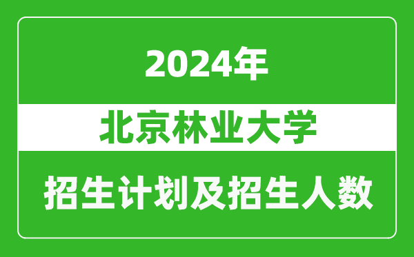 北京林業(yè)大學(xué)2024年在西藏的招生計劃及招生人數(shù)