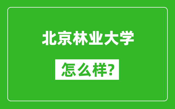 北京林業(yè)大學(xué)怎么樣好不好,值得報(bào)考嗎？