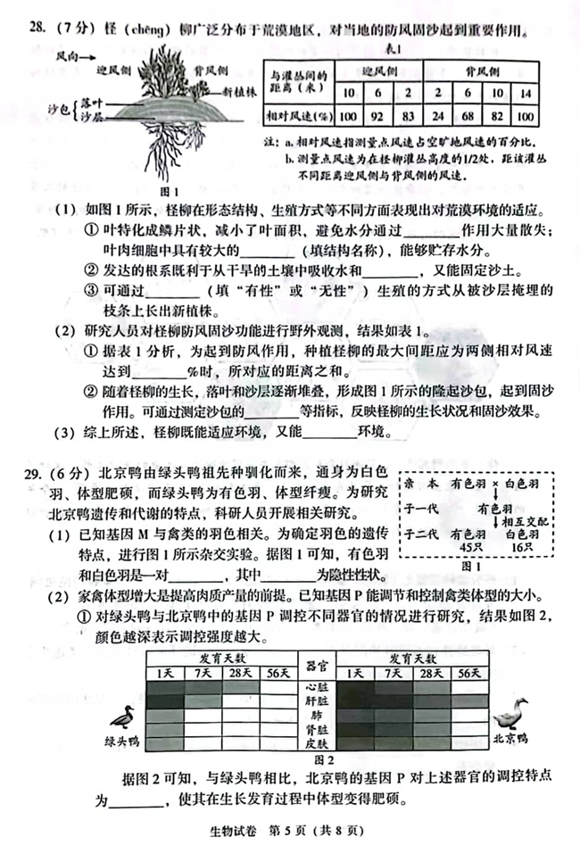 2024年北京中考生物試卷真題及答案解析