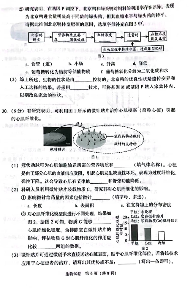 2024年北京中考生物試卷真題及答案解析