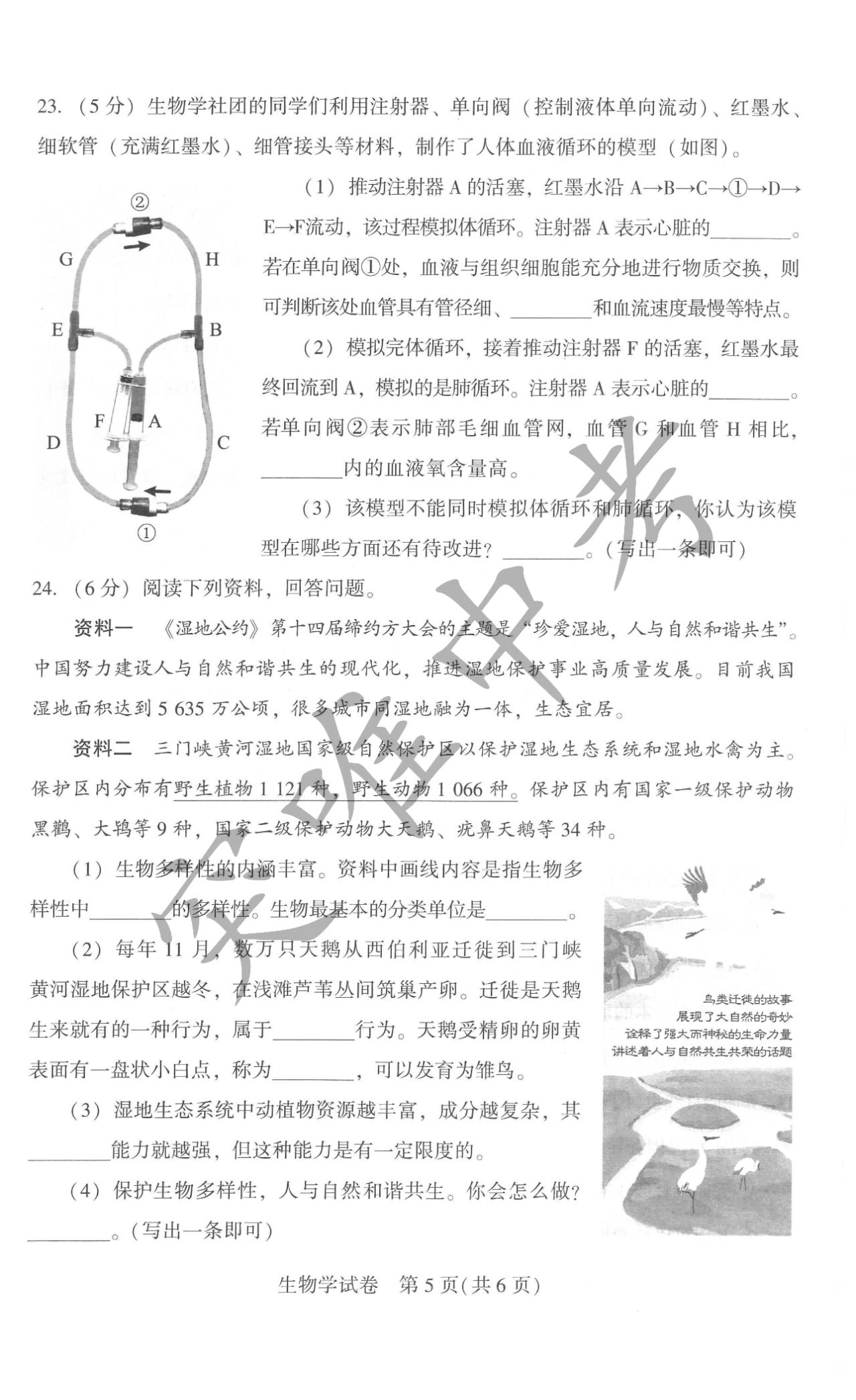 2024年河南中考生物試卷真題及答案解析