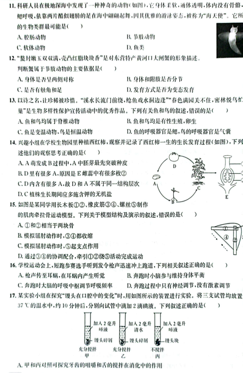 2024年東營中考生物試卷真題及答案解析