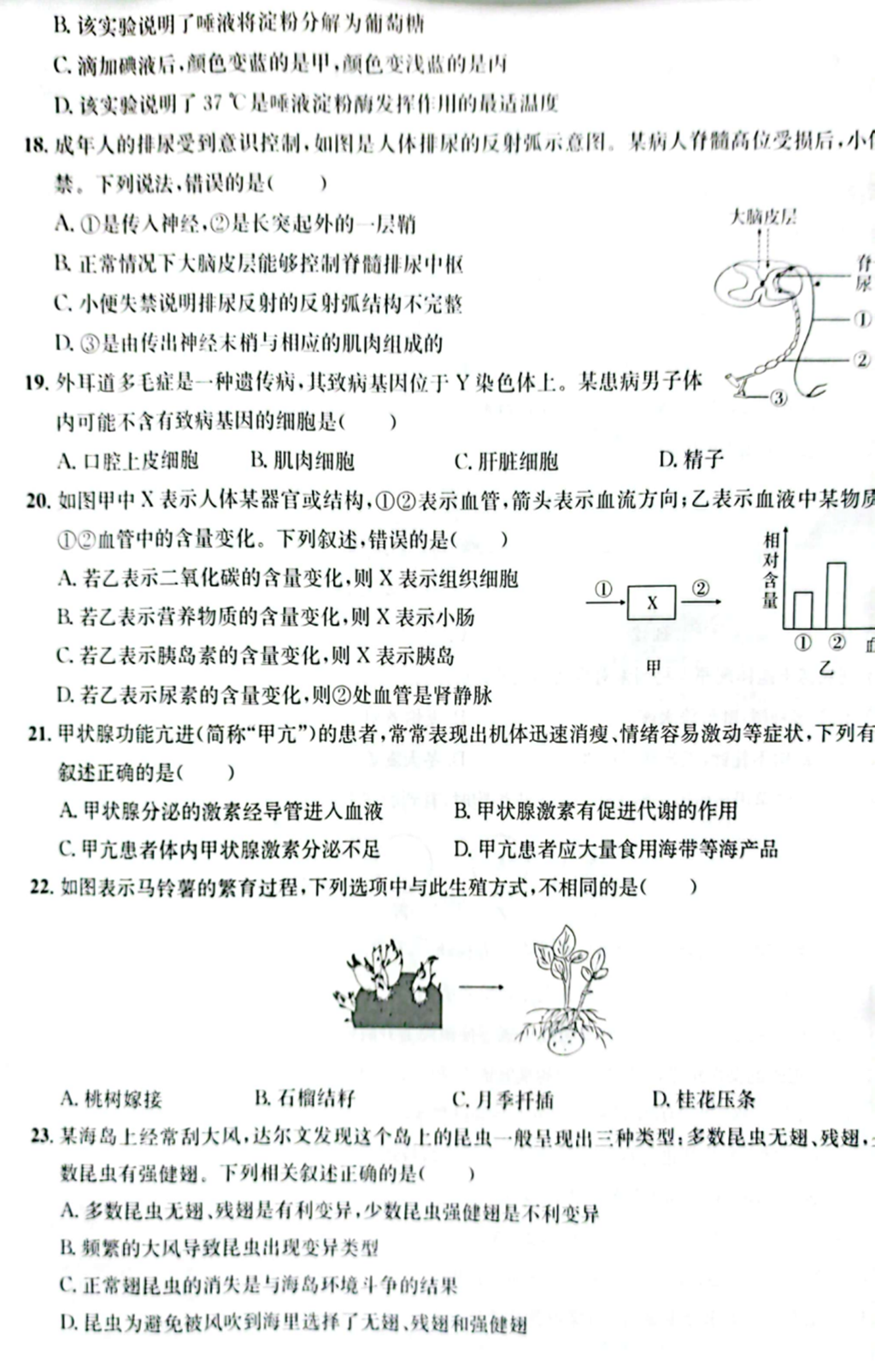 2024年東營中考生物試卷真題及答案解析