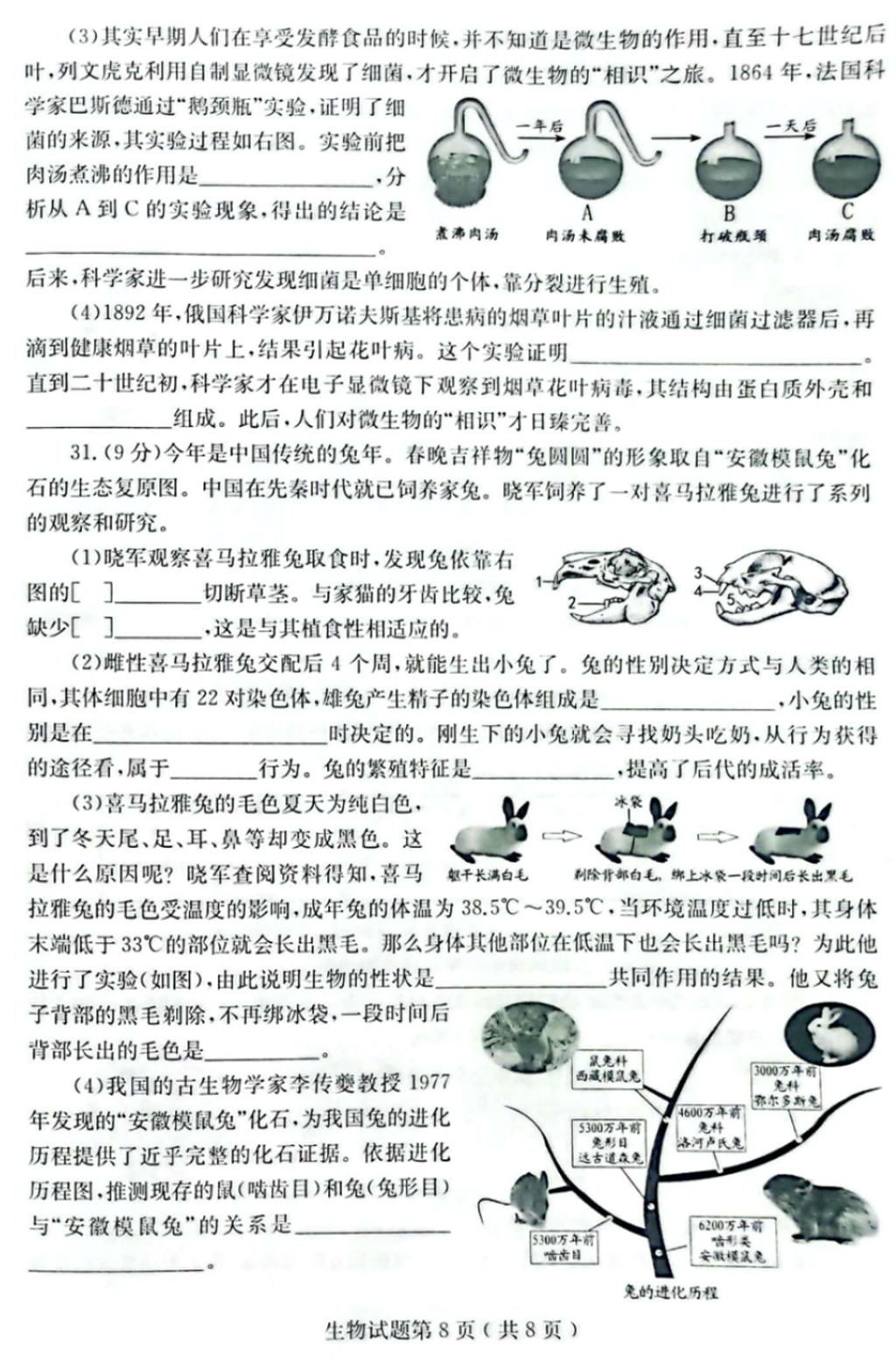 2024年煙臺中考生物試卷真題及答案解析
