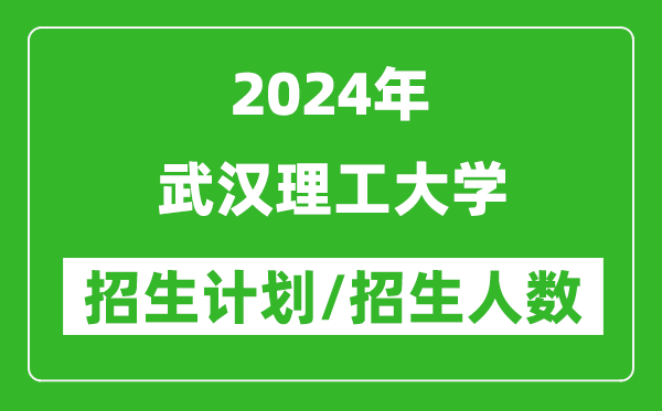 2024年武漢理工大學(xué)各省招生計(jì)劃及各專業(yè)招生人數(shù)是多少