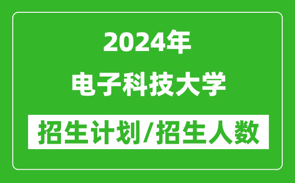 2024年電子科技大學(xué)各省招生計劃及各專業(yè)招生人數(shù)是多少