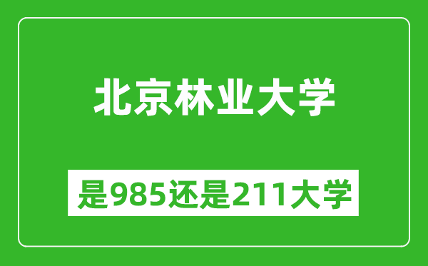 北京林業(yè)大學(xué)是985還是211大學(xué)？