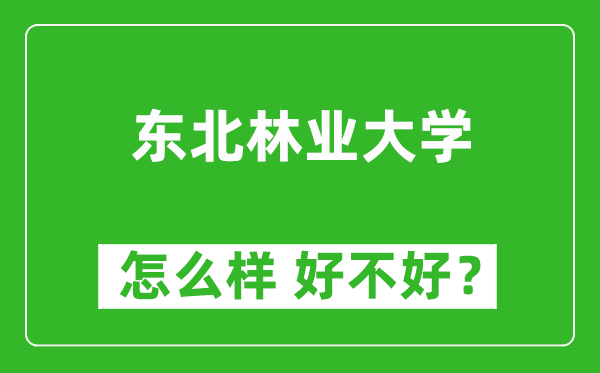 東北林業(yè)大學怎么樣 好不好？附最新全國排名情況