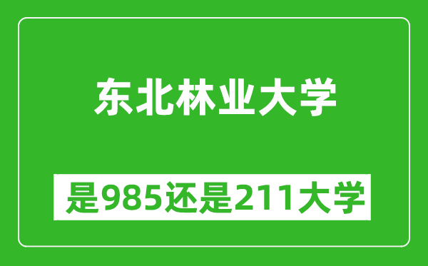 東北林業(yè)大學(xué)是985還是211大學(xué)？