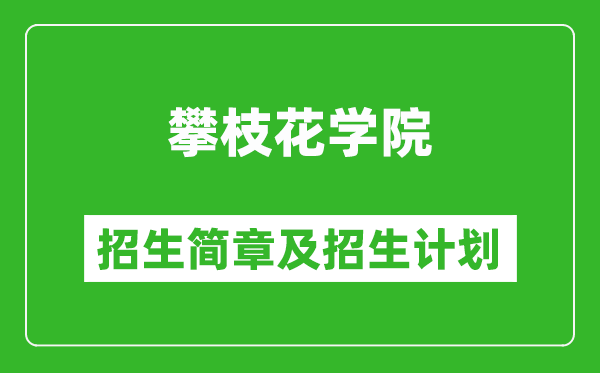 攀枝花學(xué)院2025年高考招生簡章及各省招生計(jì)劃人數(shù)