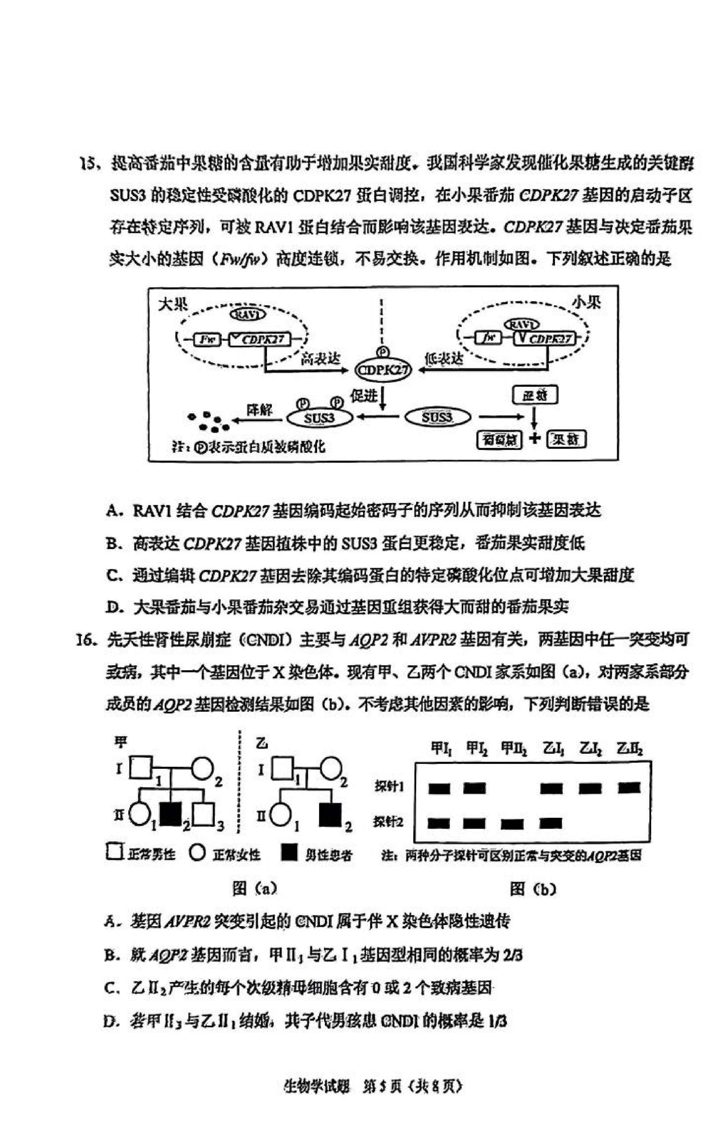2025年八省聯(lián)考生物學(xué)試卷及答案解析