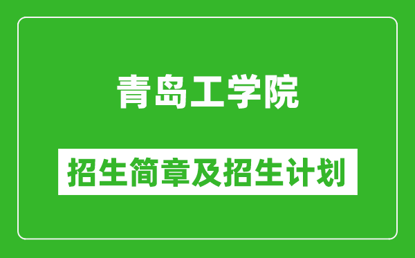 青島工學(xué)院2025年招生簡(jiǎn)章,各省高考招生計(jì)劃人數(shù)一覽表