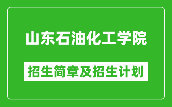 山東石油化工學(xué)院2025年招生簡(jiǎn)章,各省高考招生計(jì)劃人數(shù)一覽表