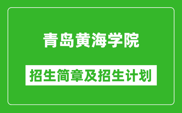 青島黃海學(xué)院2025年招生簡(jiǎn)章,各省高考招生計(jì)劃人數(shù)一覽表