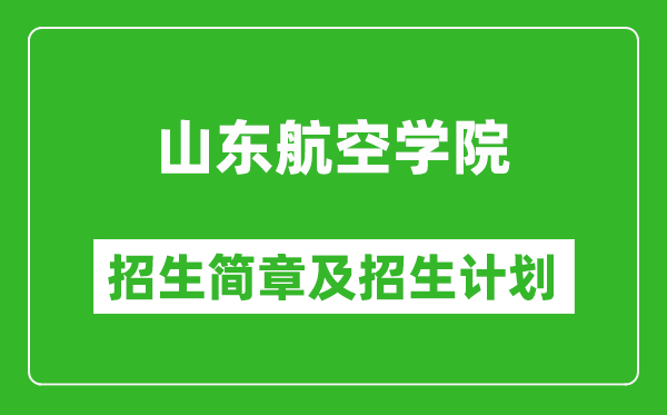 山東航空學(xué)院2025年招生簡章,各省高考招生計劃人數(shù)一覽表