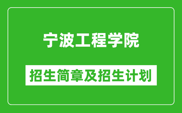 寧波工程學院2025年招生簡章,各省高考招生計劃人數(shù)一覽表