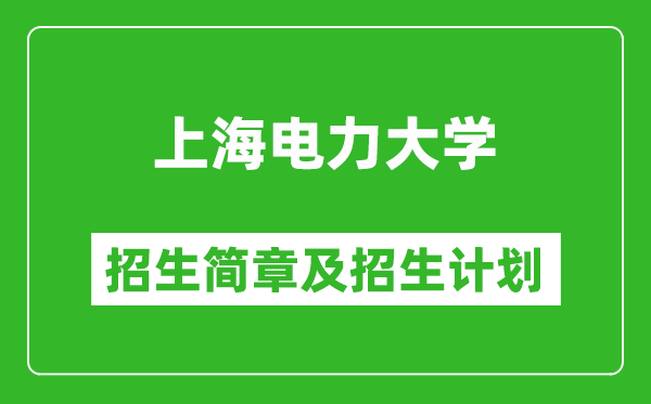 上海電力大學(xué)2025年招生簡章,各省高考招生計劃人數(shù)一覽表