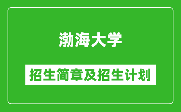 渤海大學2025年招生簡章,各省高考招生計劃人數(shù)一覽表