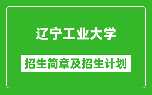 遼寧工業(yè)大學(xué)2025年招生簡章,各省高考招生計(jì)劃人數(shù)一覽表