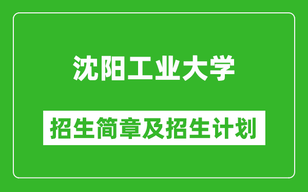 沈陽(yáng)工業(yè)大學(xué)2025年招生簡(jiǎn)章,各省高考招生計(jì)劃人數(shù)一覽表